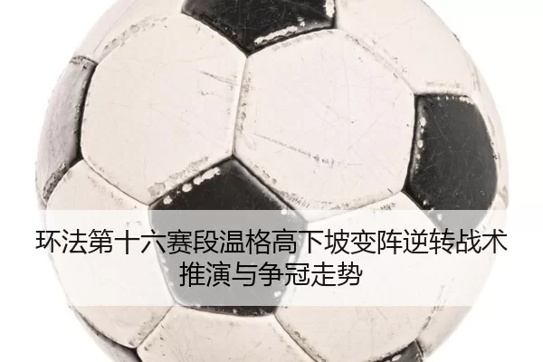 huan-fa-di-shi-liu-sai-duan-wen-ge-gao-xia-po-bian-zhen-ni-zhuan-zhan-shu-tui-yan-yu-zheng-guan-zou-shi-2-632.jpg